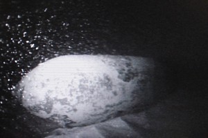 SEAFOX image of US 500 lb bomb
